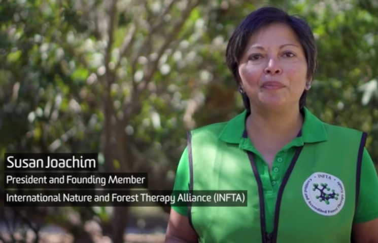 Introducing Forest Therapy to students