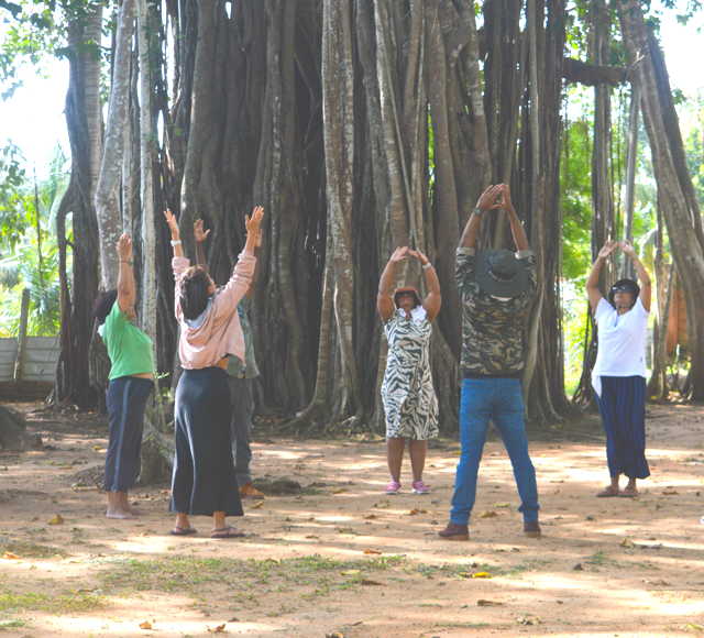 Tuning the senses Forest Therapy Tourist Guides