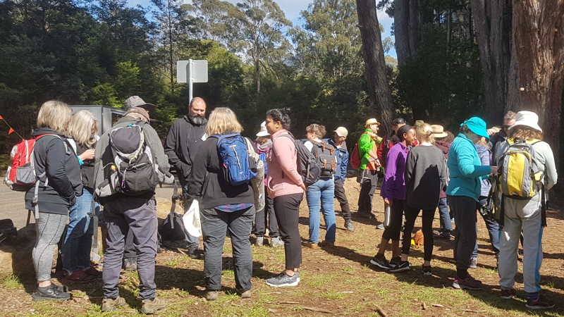 Forest Therapy Guide training