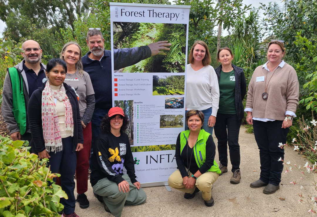 Forest Therapy Guide training