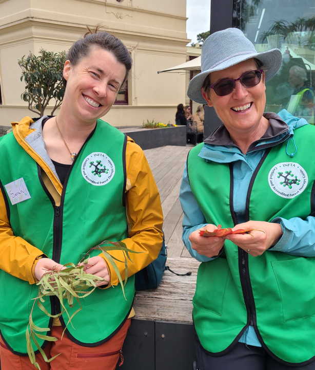 Forest Therapy Guides