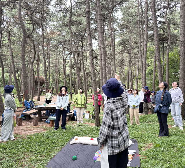 Forest Therapy Badeling National Park China
