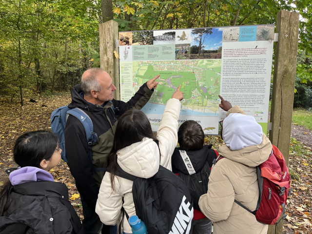 Forest Therapy for children