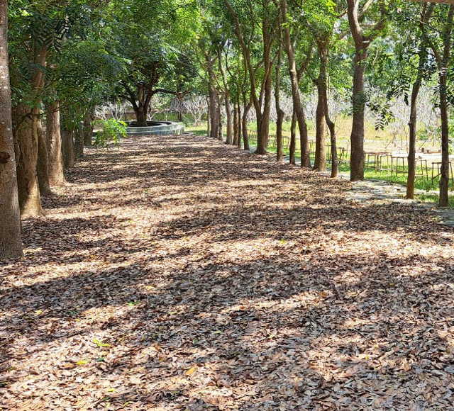 Fairyland Toc Tien Vietnam