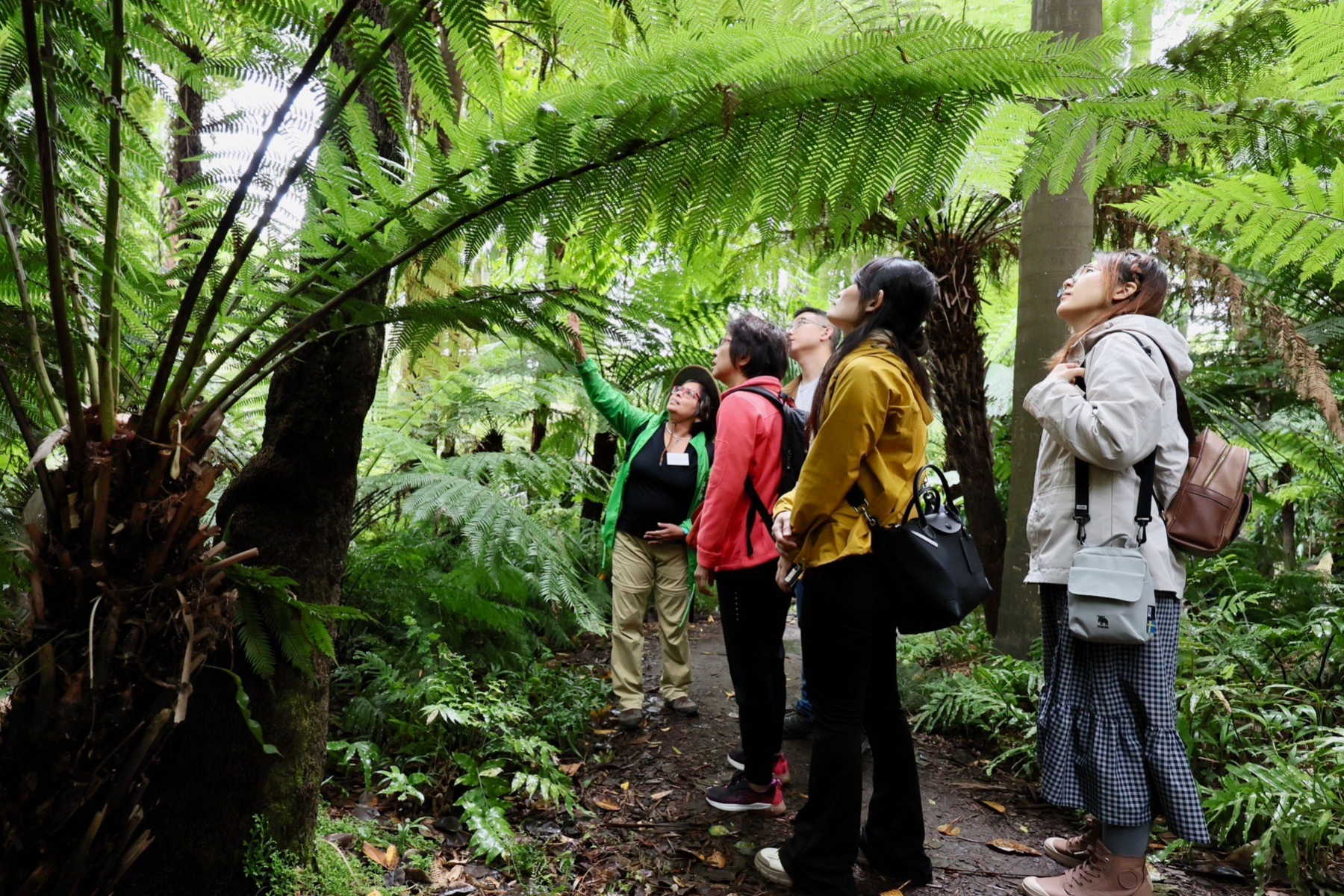 INFTA Forest Therapy Guide in Royal Botanic Gardens Melbourne