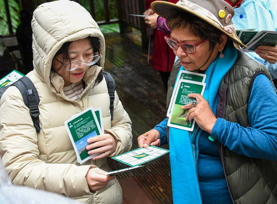 sharing Forest Therapy brochure