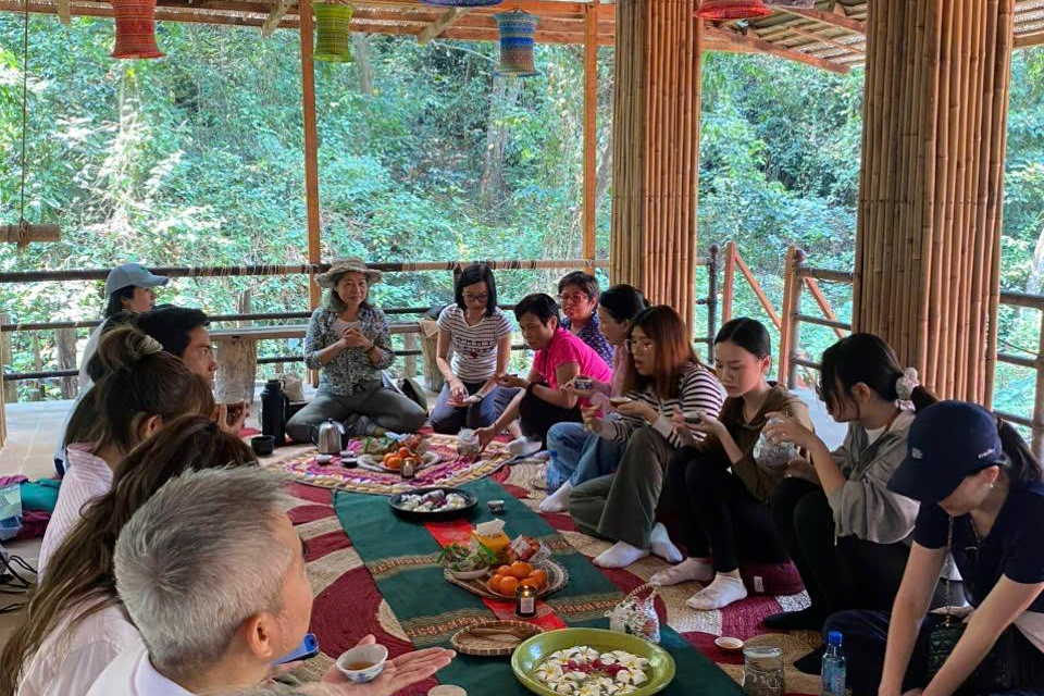 Forest Therapy tea ceremony Vietnam