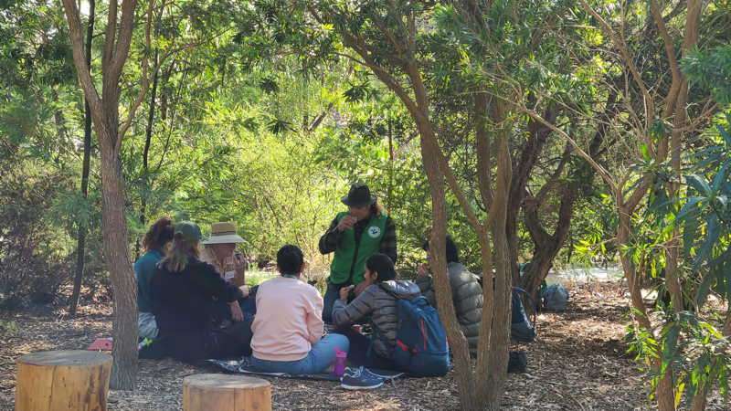 Forest Therapy Tea Ceremony Waurn Ponds