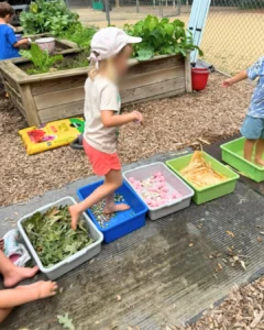 FOREST THERAPY SUMMER PROGRAM IN THE USA (10)