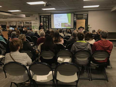 Forest Therapy at Altona Library