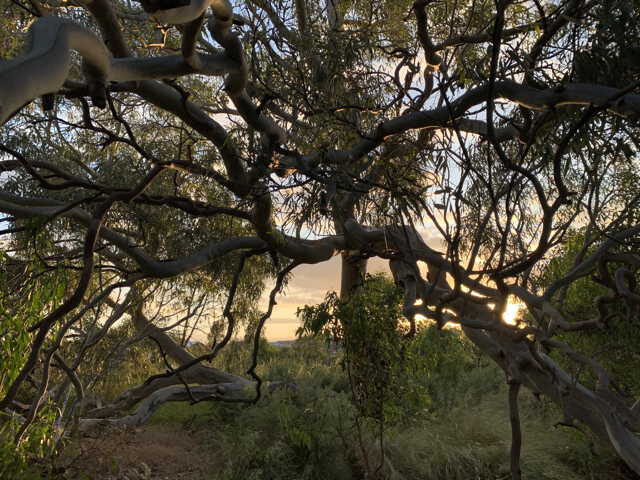 Dooliebeal Reserve