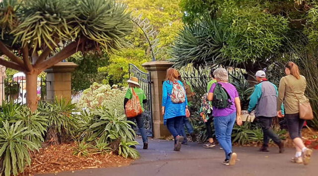 Forest Therapy - Geelong Botanic Gardens