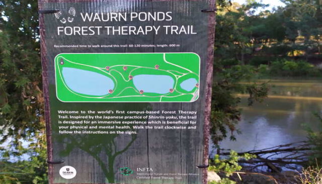 world's first campus-based Forest Therapy trail