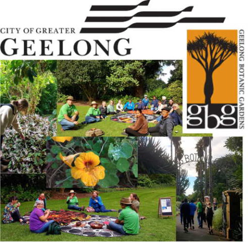 Healthy and Connected Communities Geelong