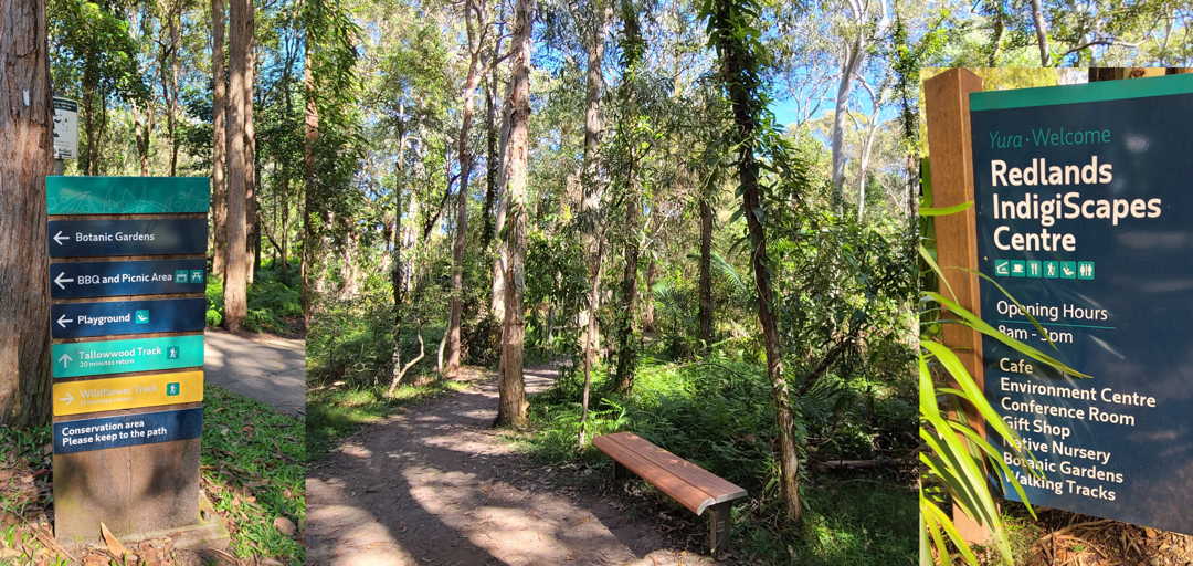 Forest Therapy at Redlands IndigiScapes