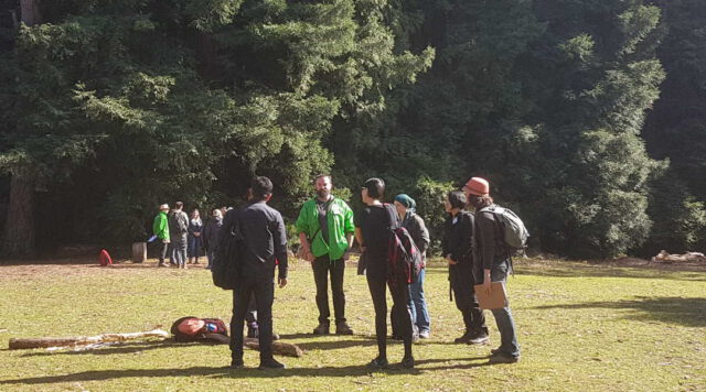 Redwood Forest Public FT event