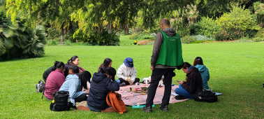 Forest Therapy for international students