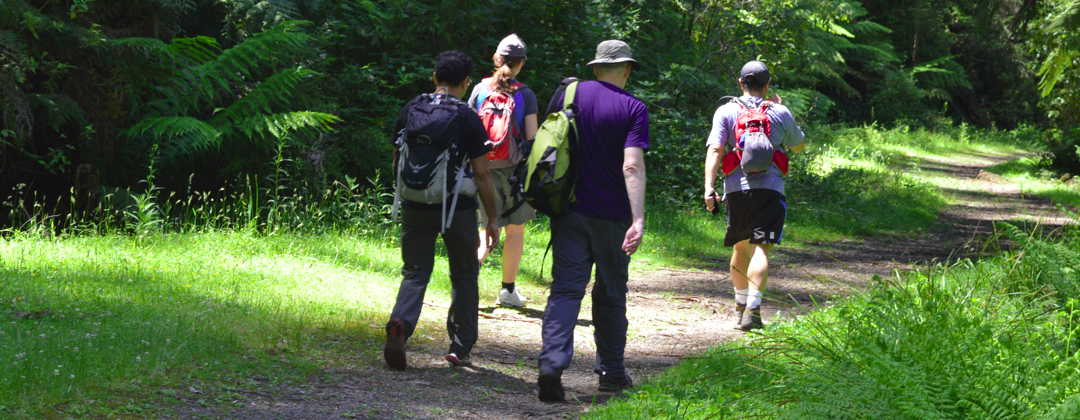 walking Oshanassay trail